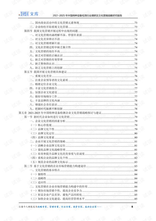 2021 2025年中国特种设备检测行业调研及文化营销战略研究报告.pdf